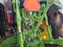 2023 John Deere 6155M