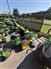 2020 John Deere Z355E