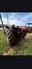 Massey Ferguson 2022 4707 Other Tractors