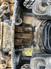 2019 Caterpillar 249D
