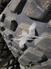 Unspecified 30.5L-32 Tires, Duals, Rims & Chains