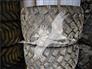 LINGLONG 560/45R22.5 Tires, Duals, Rims & Chains