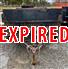 2017 Advantage 6x10 Dump Trailer