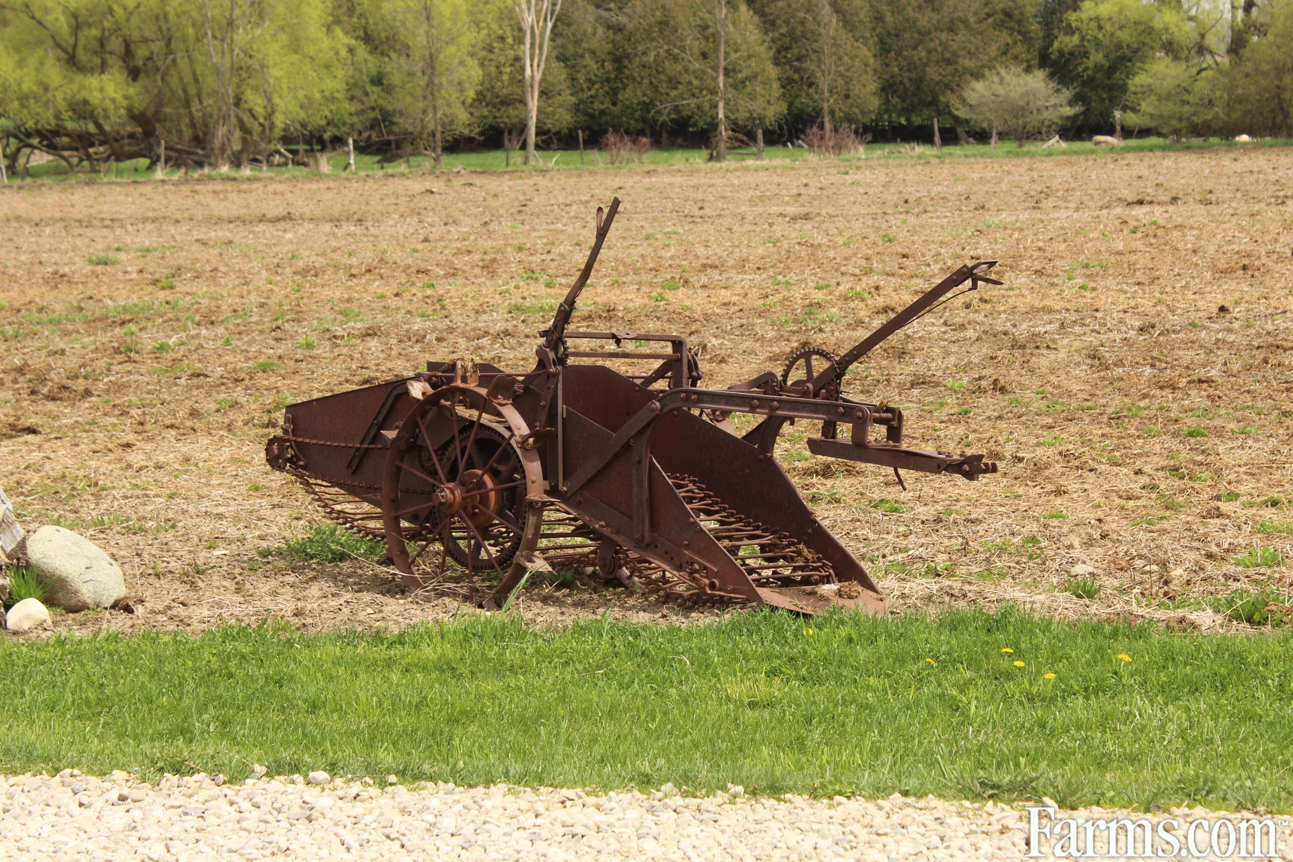 Massey Harris Potato Digger for Sale