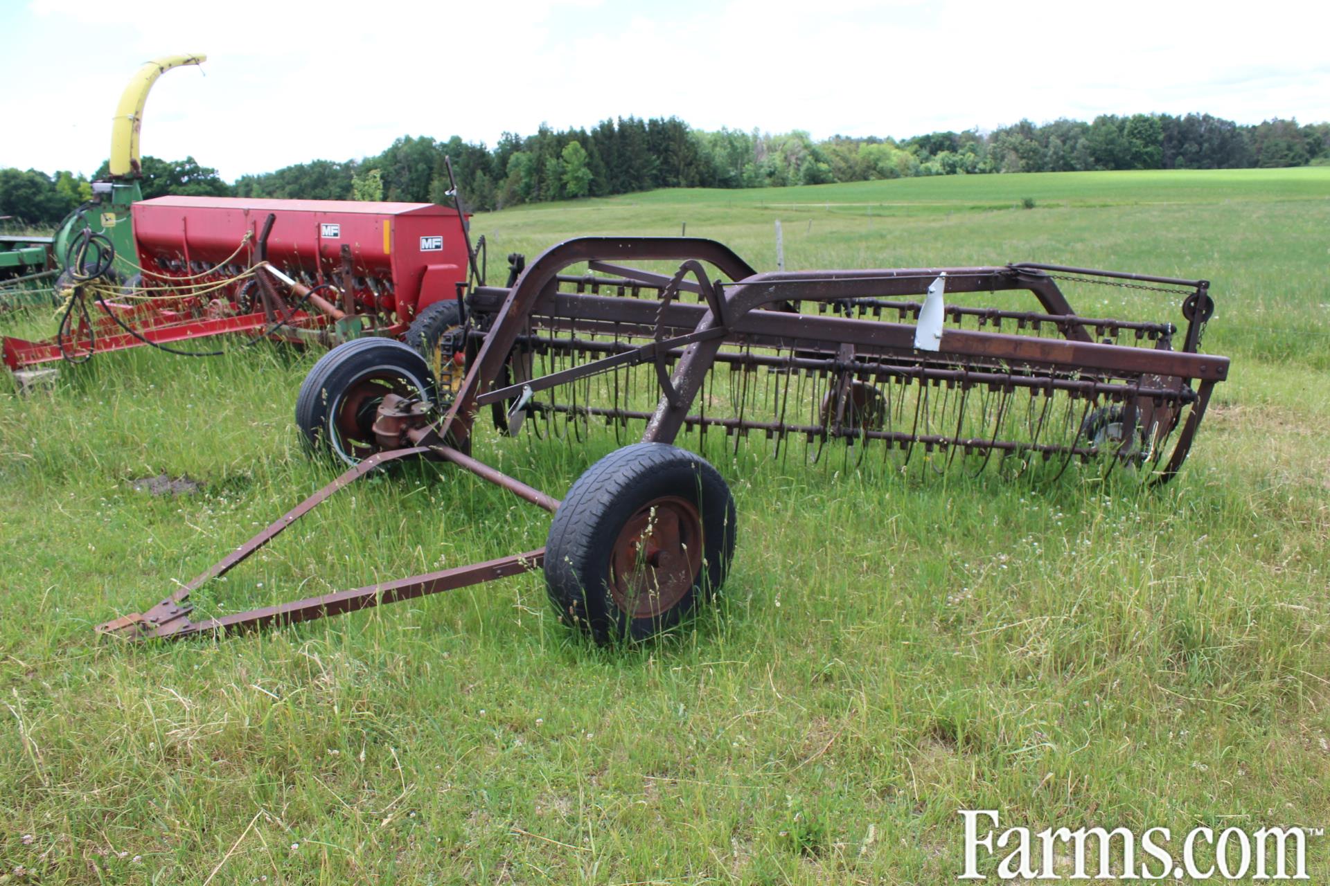 International Hay Rake for Sale