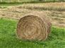 Hay, IST cut 4X4 round bale