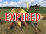 John Deere 3800 forage harvester