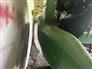 John Deere 2020 730FD Headers - Other
