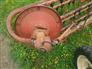 Gehl 414 Rakes / Tedders