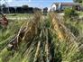 Vermeer Mfg. Co. 1998 WRV10 Rakes / Tedders