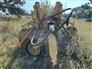 Vermeer Mfg. Co. 2016 R2800 Rakes / Tedders