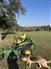 John Deere 2020 Z930M Riding Lawn Mowers