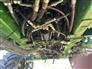 2023 John Deere 612R