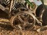 John Deere 2009 1990 Air Seeders / Air Carts
