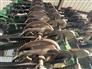 John Deere 2009 1990 Air Seeders / Air Carts