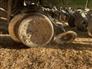 John Deere 2009 1990 Air Seeders / Air Carts