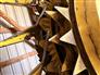 John Deere 2022 770 Forage Headers