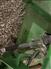 John Deere 2015 MX8 Rotary Mowers / Sickle Mower