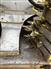 John Deere 2015 778 Forage Headers