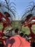 Kuhn 2021 SR108 GEN II Rakes / Tedders