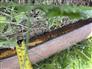 MD Products 2015 2805 Attachments