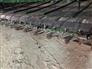 John Deere 2013 635FD Headers - Other