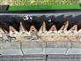 John Deere 2023 HD45F Headers - Other