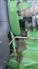 John Deere 2011 8360R Other Tractors