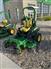 John Deere 2022 Z950M Riding Lawn Mowers