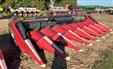 Drago GT 8r30 Corn header