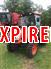 2014 Kioti RX6010 Tractor