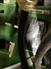2019 John Deere Z535M