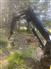 John Deere 2023 60G Excavators