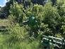 Frontier 2010 TD1316 Rakes / Tedders