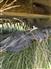 John Deere 2018 635 Mower Conditioners / Windrowers