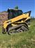 2007 Caterpillar 257B2
