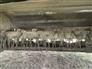 John Deere 2015 630 Mower Conditioners / Windrowers