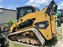 2010 Caterpillar 289C