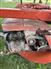New Holland 2001 1411 Mower Conditioners / Windrowers