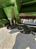 John Deere 2017 630 Mower Conditioners / Windrowers