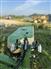 Krone AMR280 Stalk Choppers / Flail Mowers