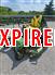 2015 John Deere Z950M
