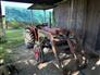 Case IH 1989 485 Other Tractors
