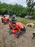Kubota 2017 BX1880 Other Tractors