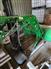 John Deere 2016 5100E Other Tractors