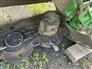 John Deere 265 Stalk Choppers / Flail Mowers