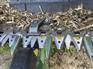 John Deere 2022 RD40F Headers - Other