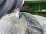 John Deere 2015 S670 Combines