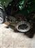 John Deere 2020 1795 Planters