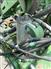 John Deere 2014 1790 Planters